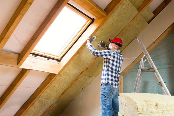 Best Soundproof Insulation  in Meadowbrook, VA